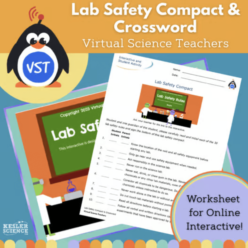 Lab Safety Compact and Crossword